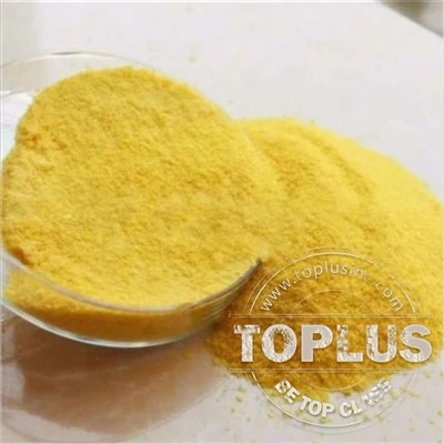 Polaiméir PAC